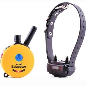 Mini Educator E-collar